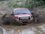 Ford F-150 XLT SuperCrew 2008 года